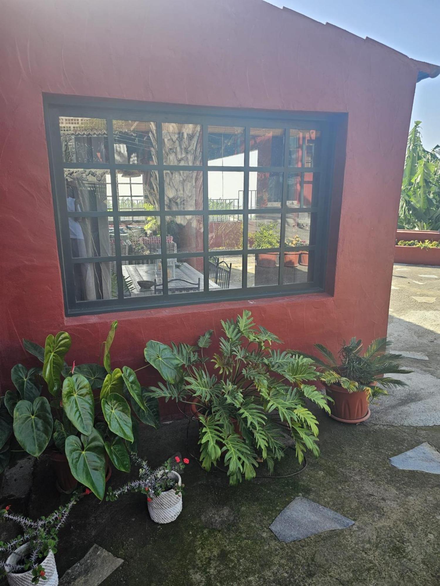 Casa Rural El Pinito Con Piscina Privada El Paso Bagian luar foto